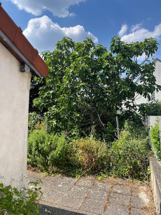 Lovely House Close To Paris Vitry-sur-Seine Exterior foto